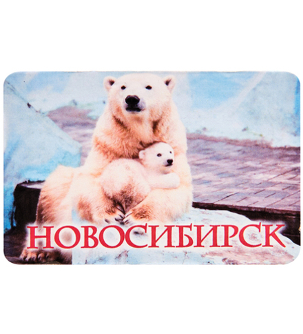 МТ- 007/04-C Магнит «Новосибирск»