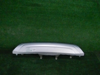 DSCN0389.JPG