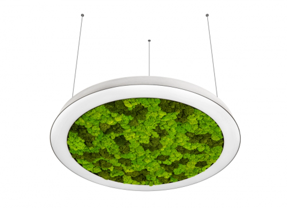 DL600S54WW Moss White