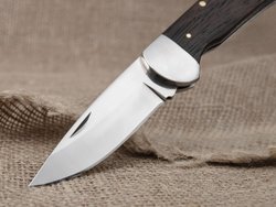 Складной нож "Грибник", сталь 95Х18