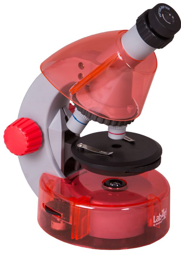 Микроскоп Levenhuk LabZZ M101, 69730