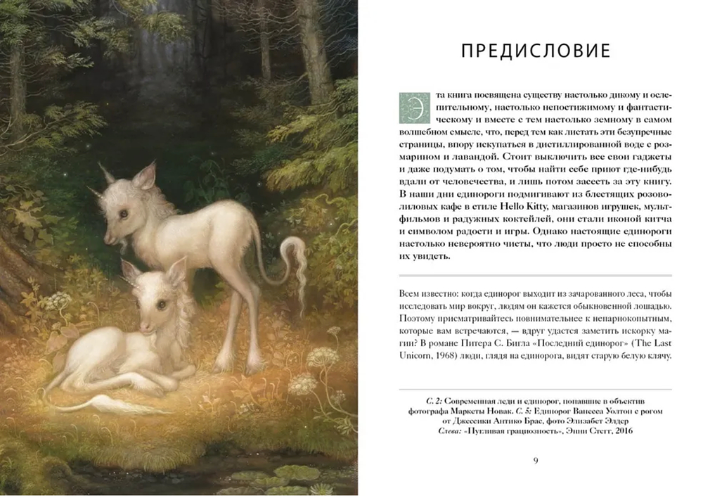 Книга Единорогов. Волшебный путеводитель по страницам фолиантов, глубинам тайных знаний и вершинам изящных искусств