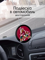 Подвеска в машину - Arizona Coyotes