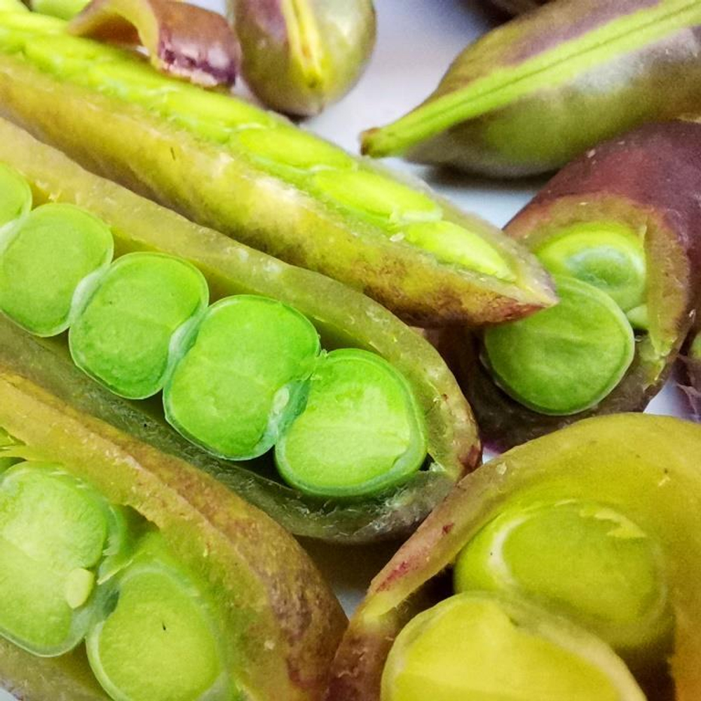 Императорский Чёрный Сахарный Снеп Горох - Imperial Black Sugar Snap Peas
