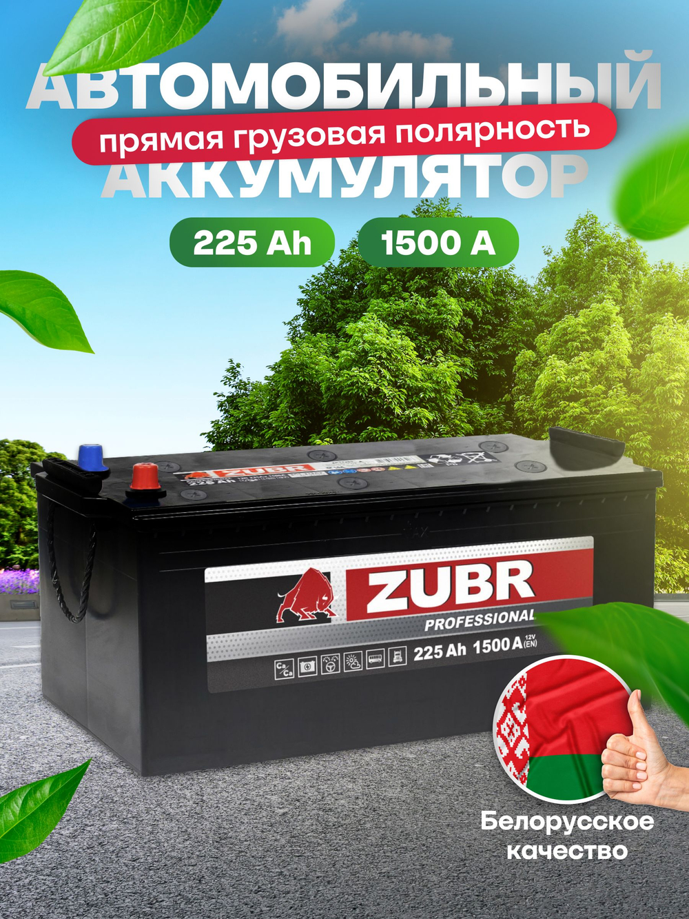 ZUBR Professional DOUBLE 225Ah R+