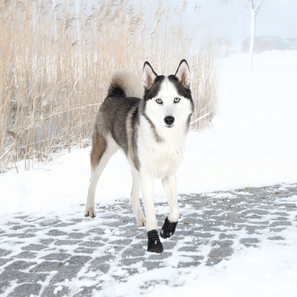 Ботинки для собак Walker Active, 2 шт. Trixie