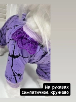 Трикотажный комбинезон для собак и кошек