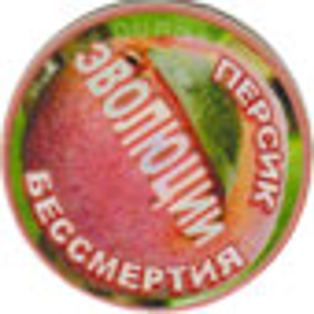 Фонатор "Персик Бессмертия Эволюции"