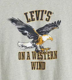 Футболка мужская LEVI'S SS RELAXED FIT TEE WESTERN WIND EAGLE MI