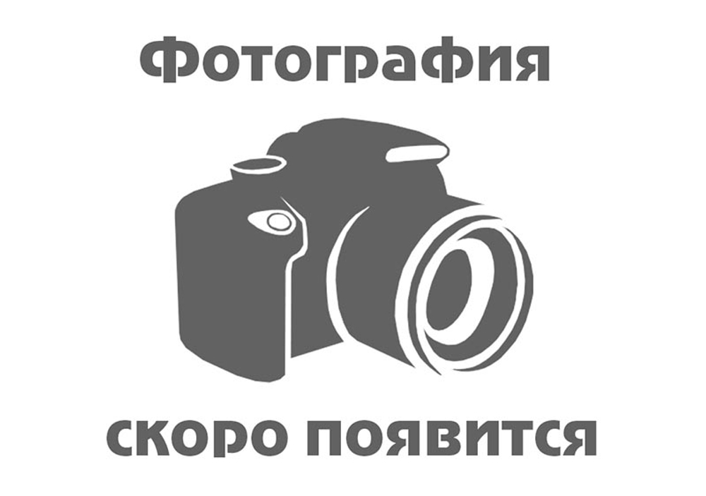 Пресс гаражный гидравлический на 50 тонн с ручным/ножным приводом SD0809CE