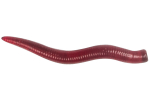 Мягкая приманка LureMax CURLY WORM