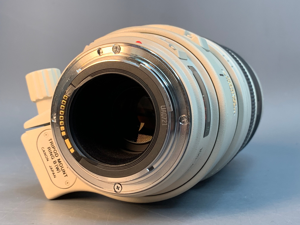 Canon EF 100-400mm 4.5-5.6L IS