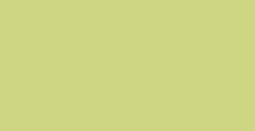 HPL-панель 1016 Pistachio Slotex 1320х3050 / 1320х4200