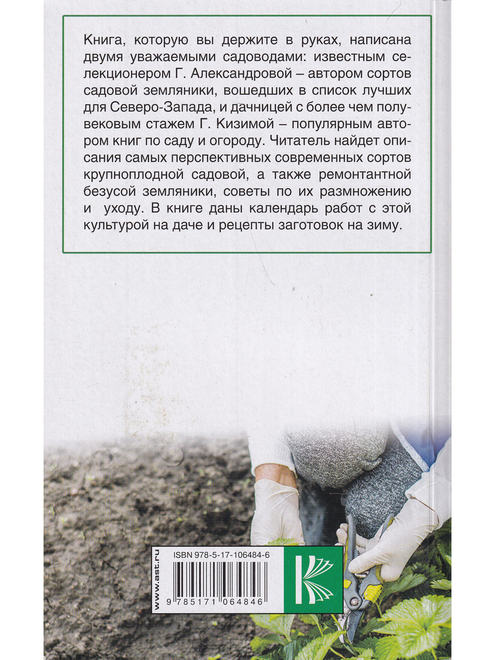 Крупноплодная садовая земляника. Лучшие сорта и современные технологии выращивания