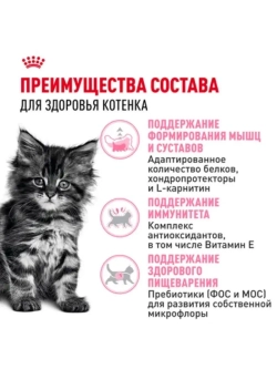 Maine Coon Kitten Корм для котят 400г