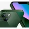 Смартфон Apple iPhone 13 128 ГБ (Зелёный | Green)