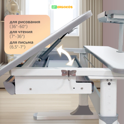 Письменный стол для школьников Ergokids Edmonton c полкой подставкой