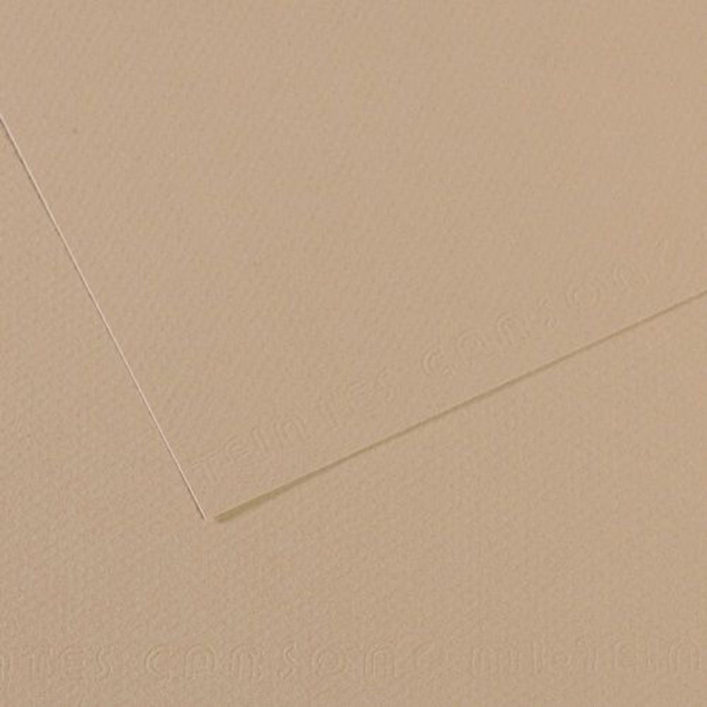 Бумага для пастели Mi-Teintes 160 г/м², 50х65 см, 10 л, №343 Серо-бежевый, Canson, C31032S099 Бумага для пастели Mi-Teintes 160 г/м², 50х65 см, 10 л, №343 Серо-бежевый, Canson, C31032S099