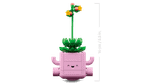 Конструктор LEGO Botanical Collection 11506 Rocking Plants