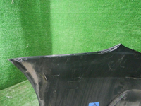 DSCN9490.JPG