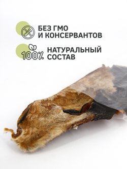 Нос говяжий (малый) — лакомство для собак, 1шт