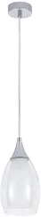 Подвесной светильник Barry A7951SP-1CC Arte Lamp