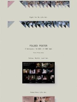 Альбом SEVENTEEN - FML 10th Mini Album 3 Version SET