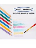 Карандаши акварельные ГАММА "Лицей", 36 цветов, заточенные, шестигранные, кисть, картонная упаковка, 221118_05
