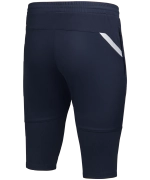 Брюки тренировочные DIVISION PerFormDRY Pro Training Pants 3/4, темно-синий