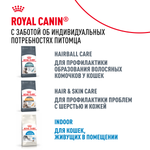 Royal Canin Indoor Long Hair Индор Лонг Хэйр Корм сухой для длинношерстных кошек в возрасте от 1 года до 7 лет живущих в помещении 400г