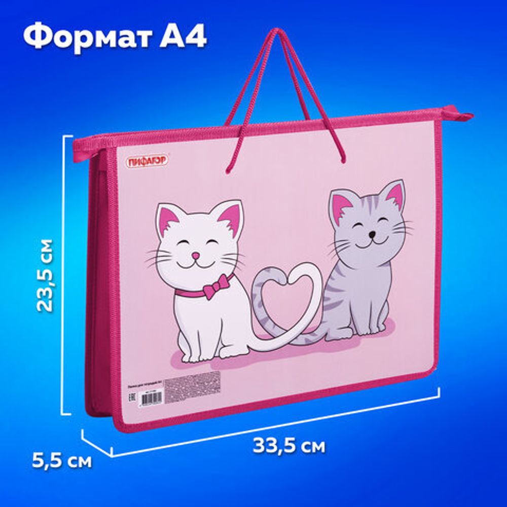 Папка на молнии с ручками ПИФАГОР А4, 1 отделение, пластик, ручки-шнурок, "Best Buds", 271469