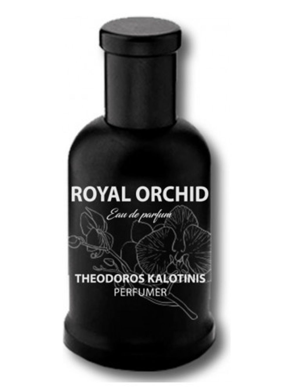 Theodoros Kalotinis Royal Orchid