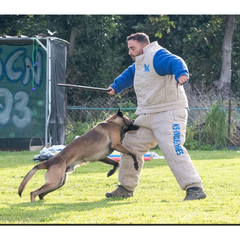 Костюм ринговый K9 INDUSTRIES