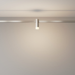 Магнитный трековый светильник Maytoni FLARITY Skim TR145-1-3W3K-W-PT