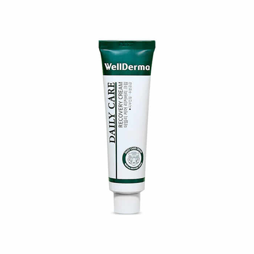 WellDerma Daily Cure Recovery Cream