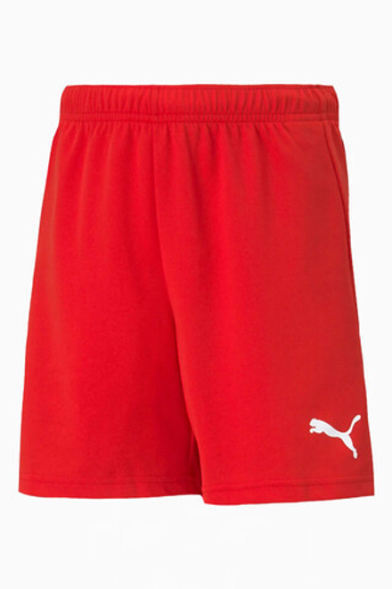 Шорты Puma teamRISE Junior