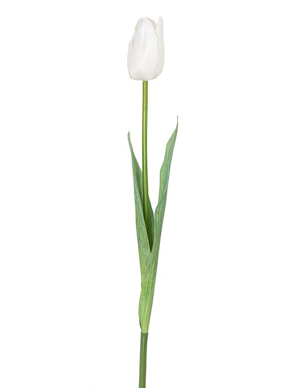 Цветок декоративный Fiebiger Floristik: Тюльпан, 203612-100