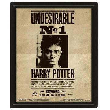 3D картина в рамке Harry Potter (Potter / Sirius)  EPPL71245