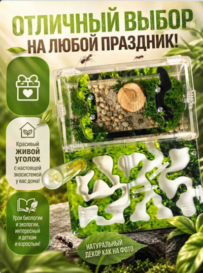 Ферма «Мох» + Колония муравьев «Макси» + Микс корма