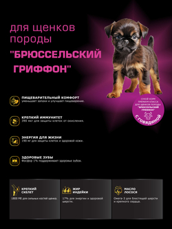 Корм сухой для щенков породы Брюссельский гриффон, с говядиной, 800 гр, QUATTRO