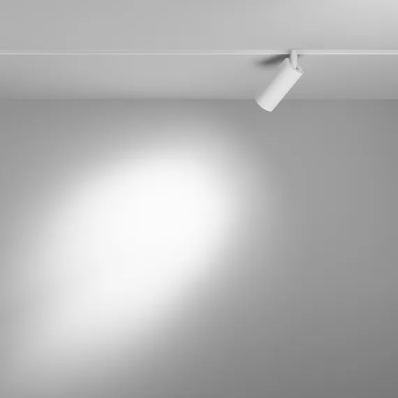 Трековый светильник Focus Led TR032-4-5WTW-M-DSZ-W Maytoni