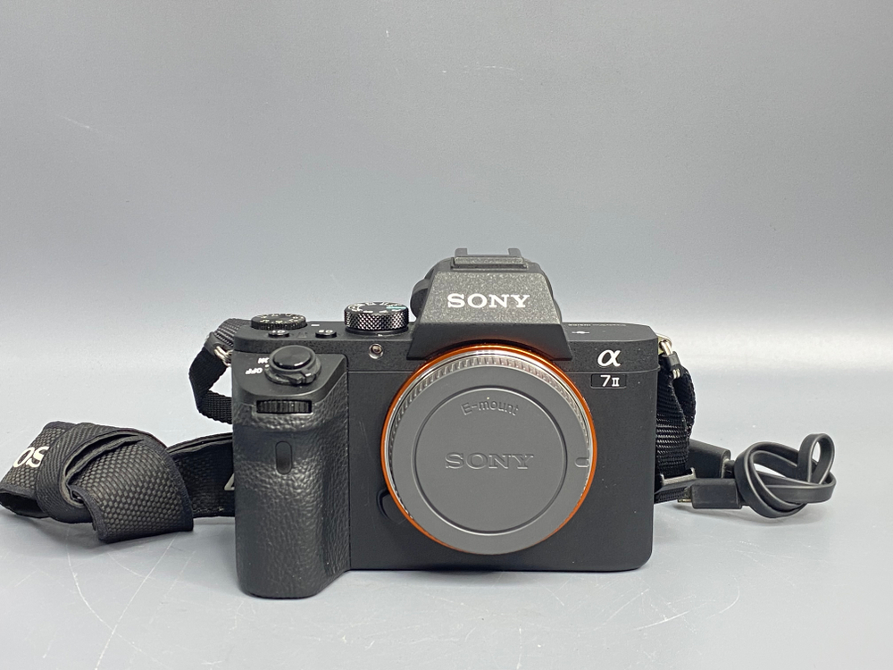 Sony A7 II 25.000 кадров