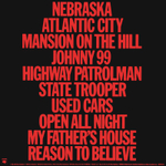 Bruce Springsteen / Nebraska (LP)