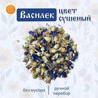 Василек цвет.