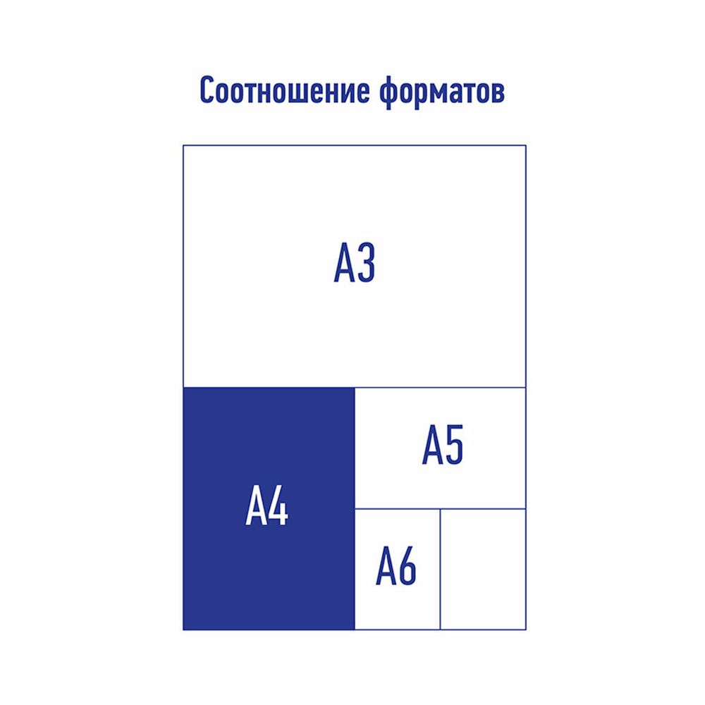 Папка на молнии Berlingo, А4, 500мкм, черная