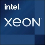 Процессор Intel Xeon E-2336 S-1200 Tray (CM8070804495816)