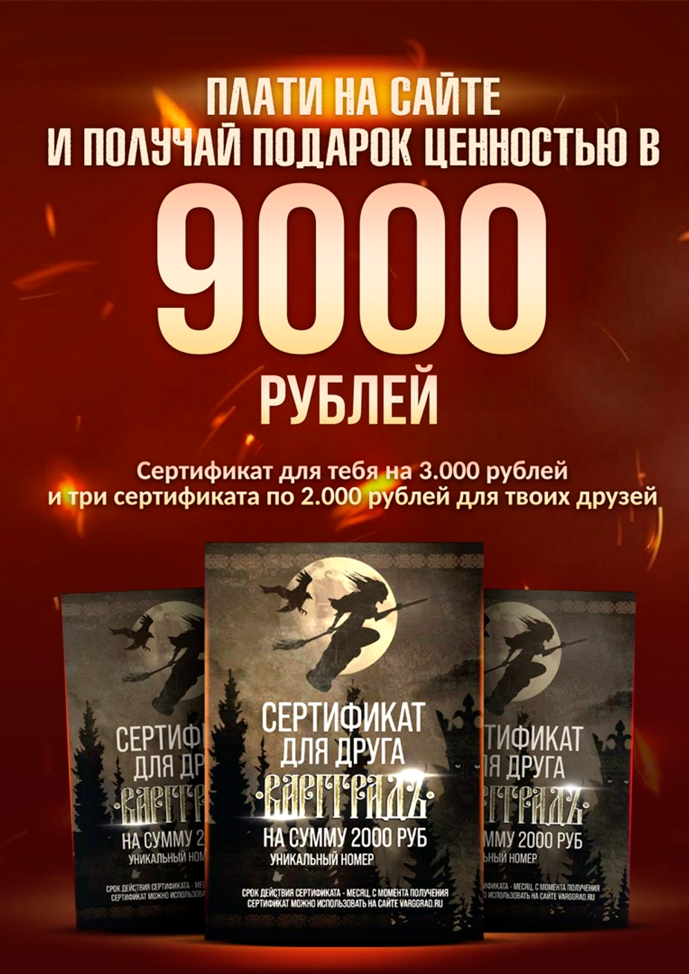 Спорт-брюки Варгградъ мужские тёмно-серые "Звезда с крыльями" с начёсом