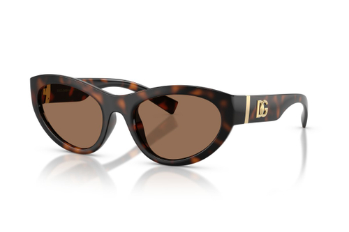 Dolce & Gabbana 6207 502/73