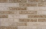 Кирпич облицовочный Plinfa Cassia 1809, 300x85x50