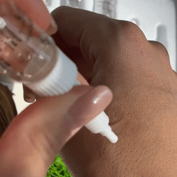 Phymongshe Концентрат с коллагеном Dewy Collagen Ampoule 10 флаконов по 4 мл